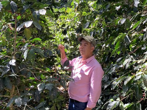Wir wissen, woher unser Kaffee kommt – über Direct Trade und unsere Partner in Honduras